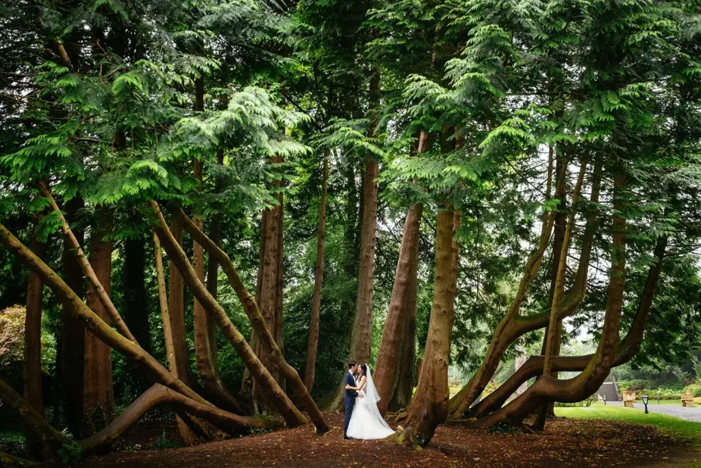 Olivia Buckley International, Destination Wedding Ireland, Luxury Wedding Planner, Our Emerald Isle, Irish Wedding, Forest Wedding